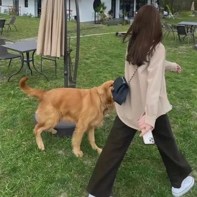 樱花庄的宠物女孩